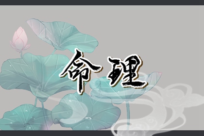 命盘免费测算 易百查排盘免费 元享四柱排盘 黄历生辰八字